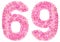 Arabic numeral 69, sixty nine, from pink forget-me-not flowers,