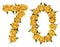 Arabic numeral 70, seventy, from yellow flowers of rose, isolate