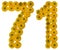 Arabic numeral 71, seventy one, from yellow flowers of buttercup