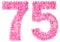 Arabic numeral 75, seventy five, from pink forget-me-not flowers