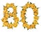 Arabic numeral 80, eighty, from yellow flowers of rose, isolated