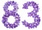 Arabic numeral 83, eighty three, from flowers of viola, isolated