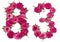 Arabic numeral 83, eighty three, from red flowers of rose, isolated on white background