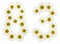 Arabic numeral 83, eighty three, from white flowers of chamomile