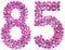 Arabic numeral 85, eighty five, from flowers of lilac, isolated