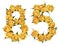 Arabic numeral 85, eighty five, from yellow flowers of rose, iso