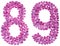 Arabic numeral 89, eighty nine, from flowers of lilac, isolated