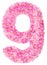 Arabic numeral 9, nine, pink forget-me-not flowers, isolated on