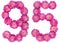 Arabic numeral 95, ninety five, from flowers of chrysanthemum, i