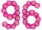 Arabic numeral 96, ninety six, from flowers of chrysanthemum, is