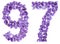 Arabic numeral 97, ninety seven, from flowers of viola, isolated