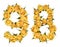 Arabic numeral 98, ninety eight, from yellow flowers of rose, is