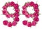 Arabic numeral 99, ninety nine, from red flowers of rose, isolated on white background