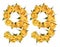 Arabic numeral 99, ninety nine, from yellow flowers of rose, iso