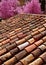 Arabic roof tiles pattern texture in Teruel Spain