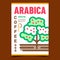 Arabica Coffee Creative Advertising Banner Vector