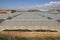 Arable crop farming - large area land full of glasshouses with vegetable on Sicily in Italy. Green vegetable plant grow in