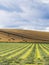 Arable farming scenein the Scottish Borders, UK with copy space