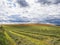 Arable farming scenein the Scottish Borders, UK with copy space