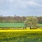 Arable Farmland in Cambridgeshire