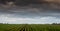 Arable field beneath storm