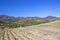 Arable fields, olive groves and mountains