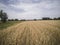 Arable fields seen from above, agriculture