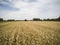 Arable fields seen from above, agriculture