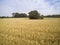 Arable fields seen from above, agriculture