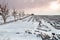 Arable land covered in snow