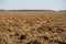 Arable land. drought in the spring of 2022 in Baragan, Romania.