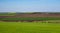 Arable land and green grass fields on clear blue sky. Panorama landscape. Green meadows.