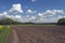 Arable land under fluffly clouds