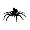 Arachne spider monster woman silhouette ancient mythology fantas