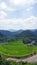 Aragijima Terraced Rice Field in Wakayama, Japan