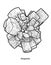 Aragonite illustration, drawing, engraving, ink, line art, vector