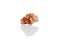 aragonite mineral stone macro on white background