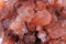 Aragonite mineralaragonite mineral texture