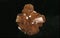 Aragonite Stone against Black Background