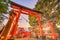 Arakura Sengen Shrine Gate