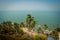 Arambol beach top view, palms, beach and Arabian sea, Goa, India