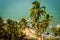 Arambol beach top view, palms, beach and Arabian sea, Goa, India