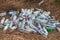 Arambol, GOA, India - December 12, 2019: Landfill of empty plastic bottles in India.