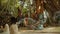 Arambol, Goa, India - December 30, 2019: Indian Baba and his guests are sitting under a large banyan tree.