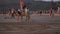 Arambol, India - February 2020. Woman artist is painting in the sand unusual paintings and patterns on the beach in Goa.