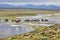 Arapaho National Wildlife Refuge