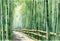 Arashiyama bamboo forest watercolor in kyoto japan