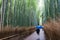 Arashiyama on a rainy day