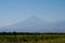 Aratrat mountain vineyards view. Grape field in Ararat valley. View of Khor Virap and Mount Ararat. Armenia picturesque mountain