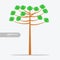 araucaria tree design vector flat isolated illustration